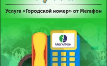 Обзор услуги «Городской номер» от Мегафон