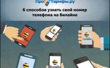 Как проверить свой номер на Билайн Россия с телефона, планшета или модема