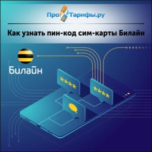 Как узнать код идентификации билайн