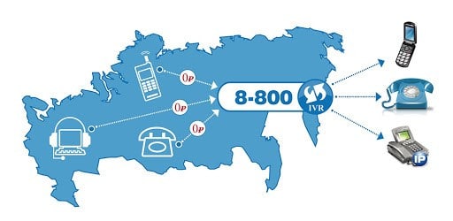Как федеральный номер 8-800 помогает юрлицам расширять клиентскую базу
